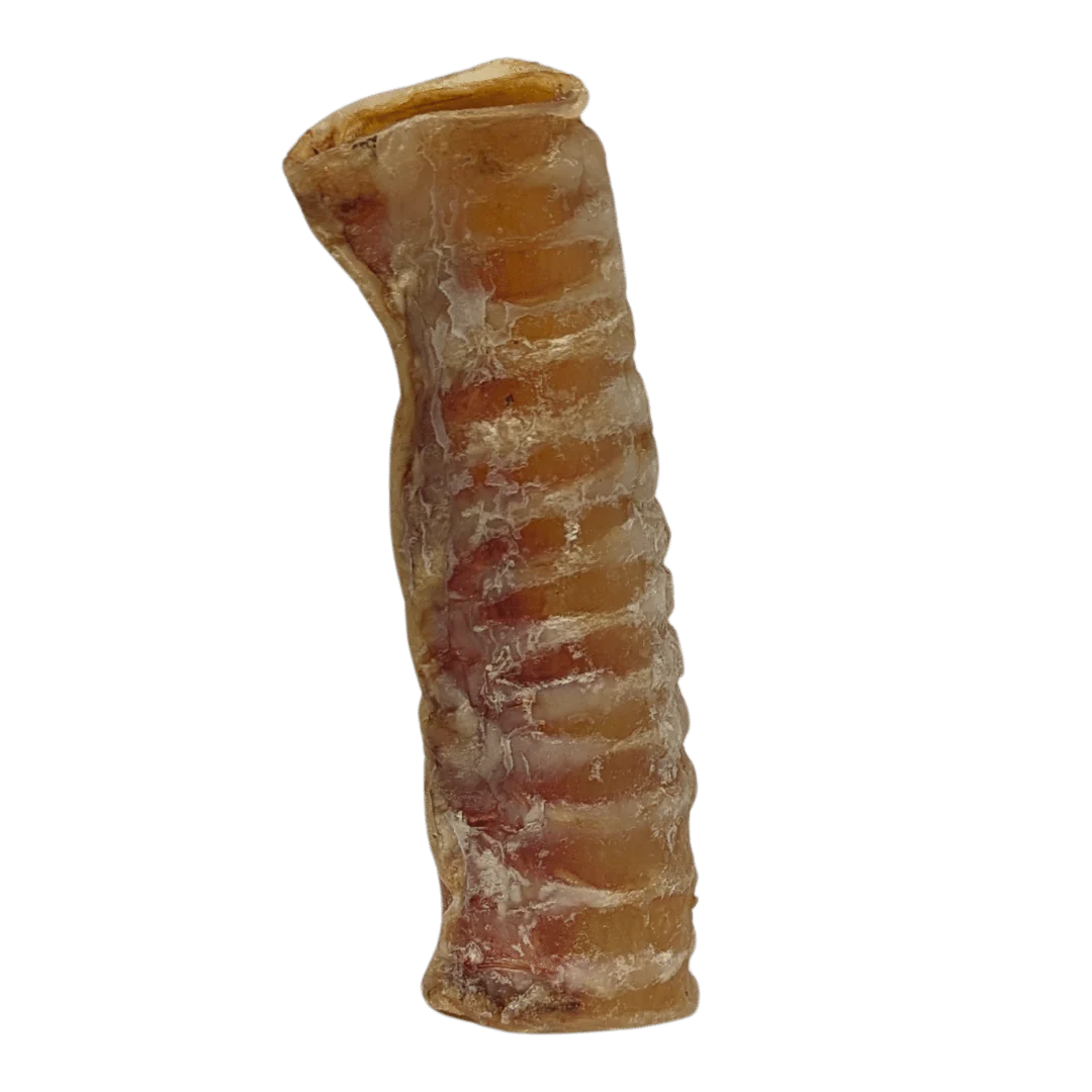 Dried Beef Trachea - Image 4